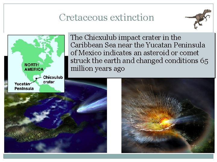 Cretaceous extinction The Chicxulub impact crater in the Caribbean Sea near the Yucatan Peninsula