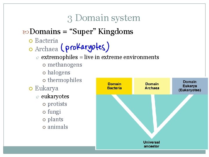 3 Domain system Domains = “Super” Kingdoms Bacteria Archaea extremophiles = live in extreme