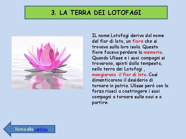 3. LA TERRA DEI LOTOFAGI IL nome Lotofagi deriva dal nome del fior di