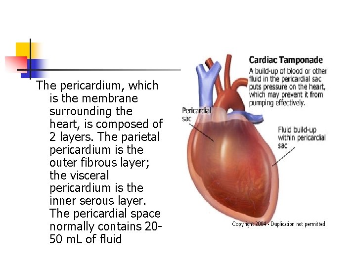 The pericardium, which is the membrane surrounding the heart, is composed of 2 layers.