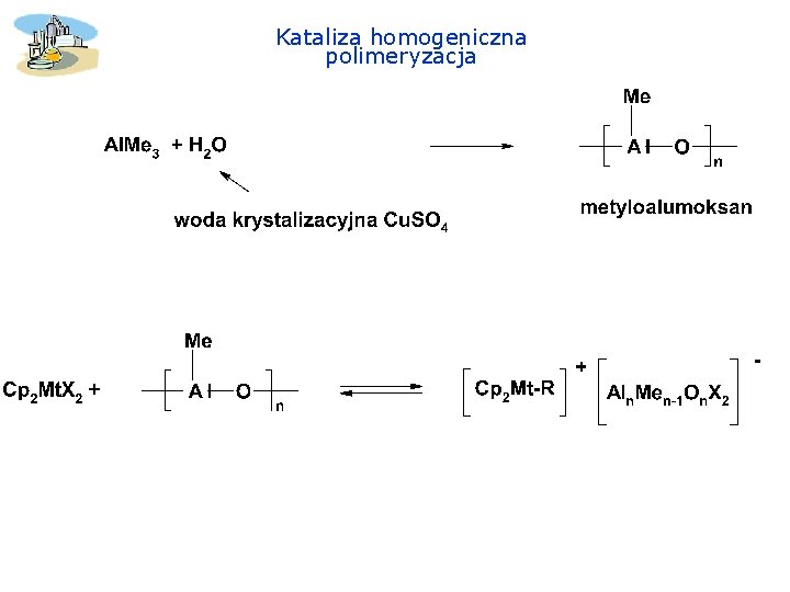 Kataliza homogeniczna polimeryzacja 