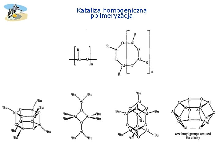 Kataliza homogeniczna polimeryzacja 