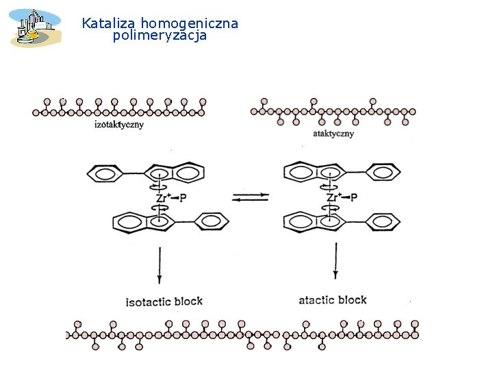 Kataliza homogeniczna polimeryzacja 