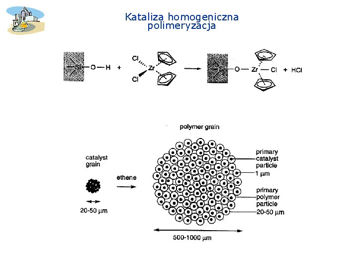 Kataliza homogeniczna polimeryzacja 