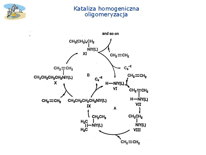 Kataliza homogeniczna oligomeryzacja 