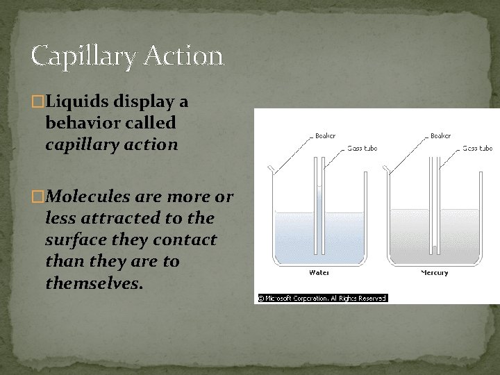 Capillary Action �Liquids display a behavior called capillary action �Molecules are more or less