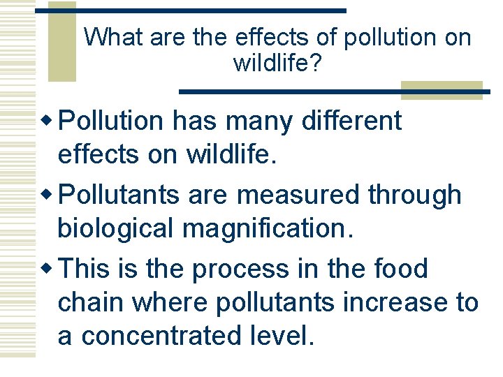 What are the effects of pollution on wildlife? w Pollution has many different effects