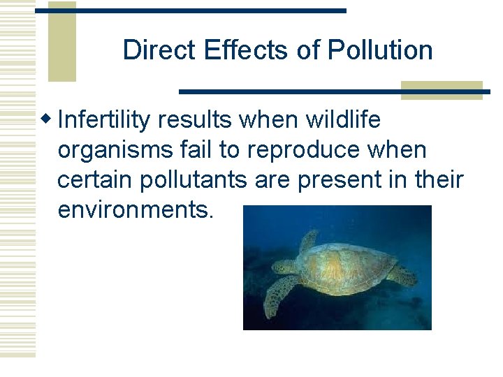 Direct Effects of Pollution w Infertility results when wildlife organisms fail to reproduce when Direct Effects of Pollution w Infertility results when wildlife organisms fail to reproduce when