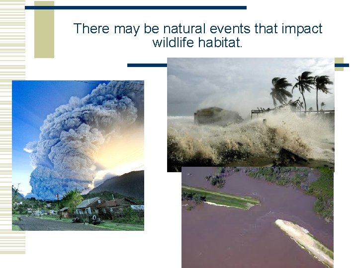 There may be natural events that impact wildlife habitat.  There may be natural events that impact wildlife habitat.