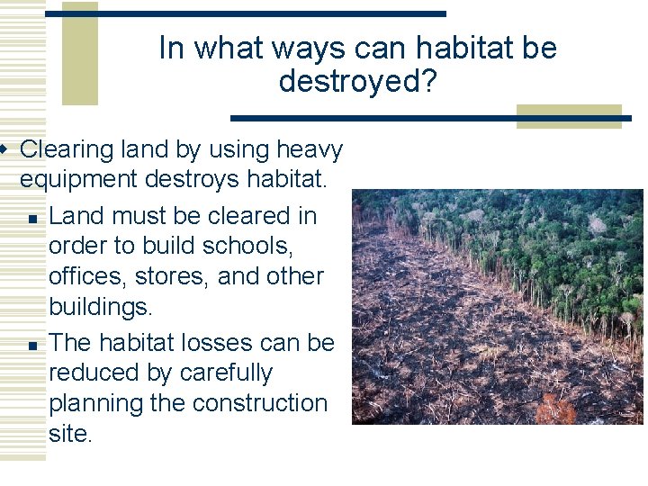 In what ways can habitat be destroyed? w Clearing land by using heavy equipment