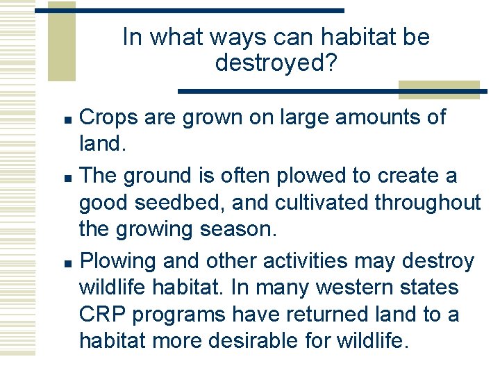 In what ways can habitat be destroyed? Crops are grown on large amounts of