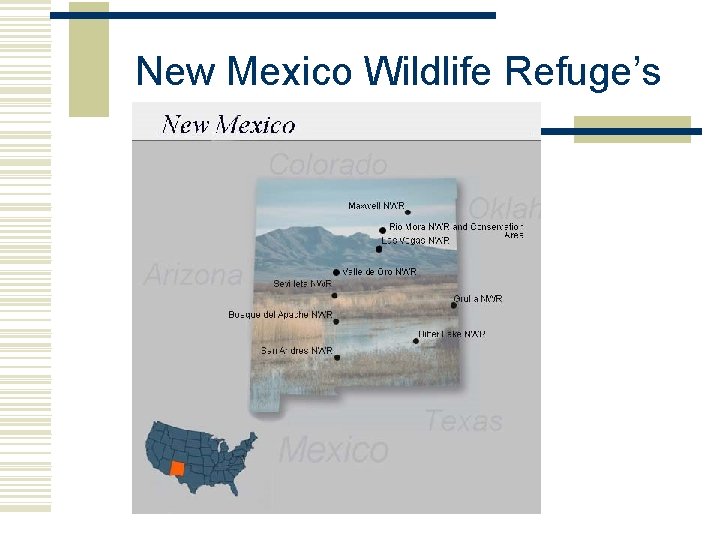 New Mexico Wildlife Refuge’s  New Mexico Wildlife Refuge’s