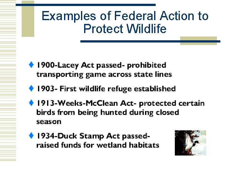 Examples of Federal Action to Protect Wildlife  Examples of Federal Action to Protect Wildlife