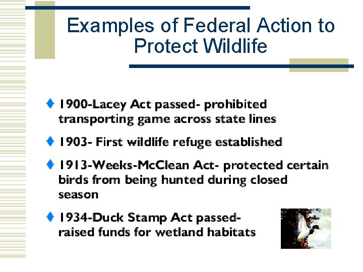 Examples of Federal Action to Protect Wildlife 