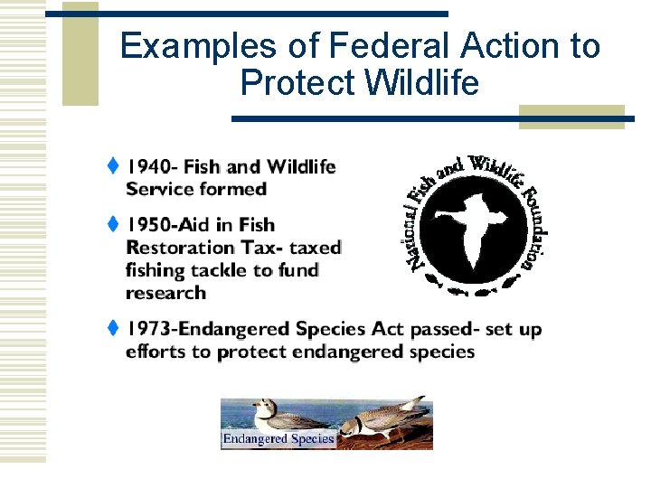 Examples of Federal Action to Protect Wildlife  Examples of Federal Action to Protect Wildlife