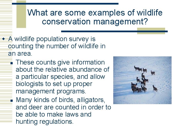 What are some examples of wildlife conservation management? w A wildlife population survey is What are some examples of wildlife conservation management? w A wildlife population survey is