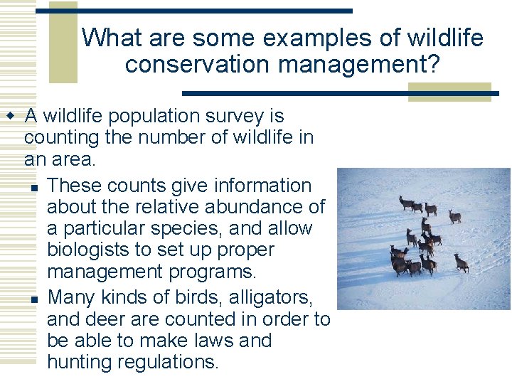 What are some examples of wildlife conservation management? w A wildlife population survey is