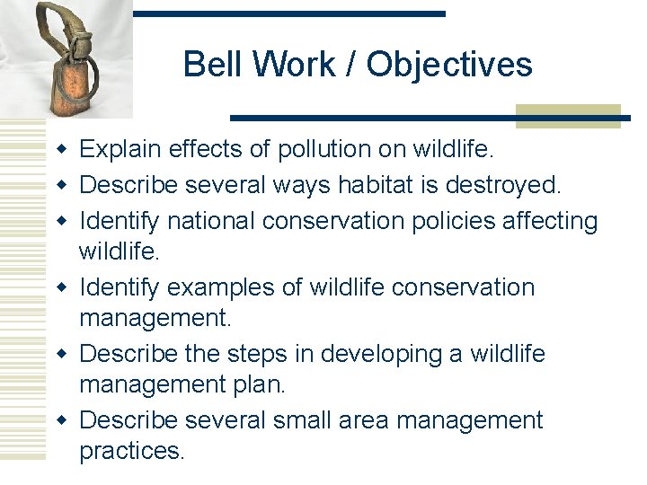 Bell Work / Objectives w Explain effects of pollution on wildlife. w Describe several Bell Work / Objectives w Explain effects of pollution on wildlife. w Describe several