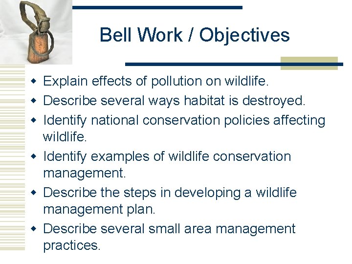 Bell Work / Objectives w Explain effects of pollution on wildlife. w Describe several