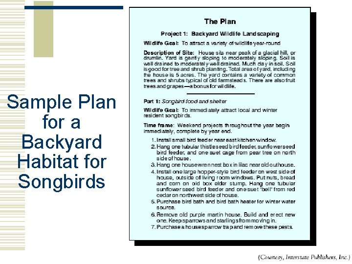 Sample Plan for a Backyard Habitat for Songbirds  Sample Plan for a Backyard Habitat for Songbirds