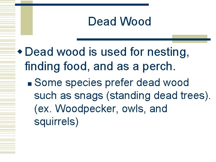 Dead Wood w Dead wood is used for nesting, finding food, and as a Dead Wood w Dead wood is used for nesting, finding food, and as a
