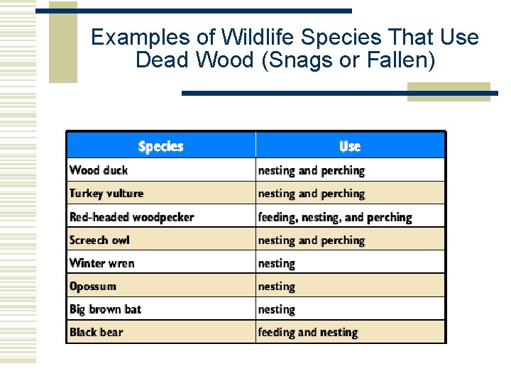 Examples of Wildlife Species That Use Dead Wood (Snags or Fallen) 