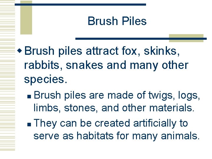 Brush Piles w Brush piles attract fox, skinks, rabbits, snakes and many other species. Brush Piles w Brush piles attract fox, skinks, rabbits, snakes and many other species.