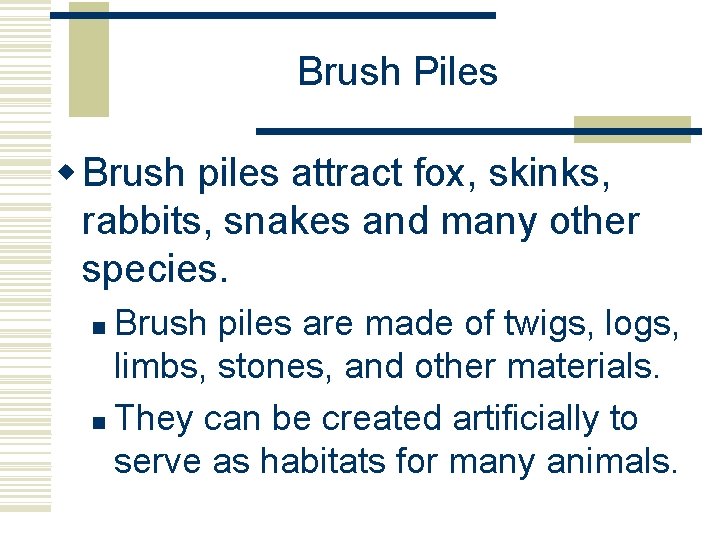 Brush Piles w Brush piles attract fox, skinks, rabbits, snakes and many other species.