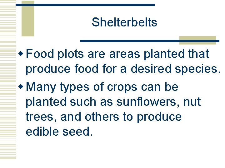 Shelterbelts w Food plots areas planted that produce food for a desired species. w Shelterbelts w Food plots areas planted that produce food for a desired species. w