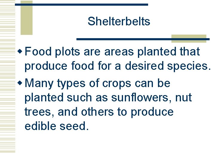 Shelterbelts w Food plots areas planted that produce food for a desired species. w