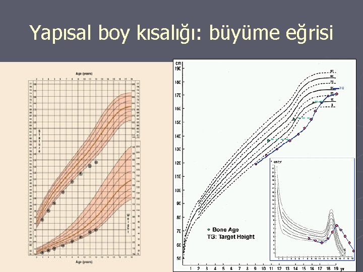 Yapısal boy kısalığı: büyüme eğrisi 23 