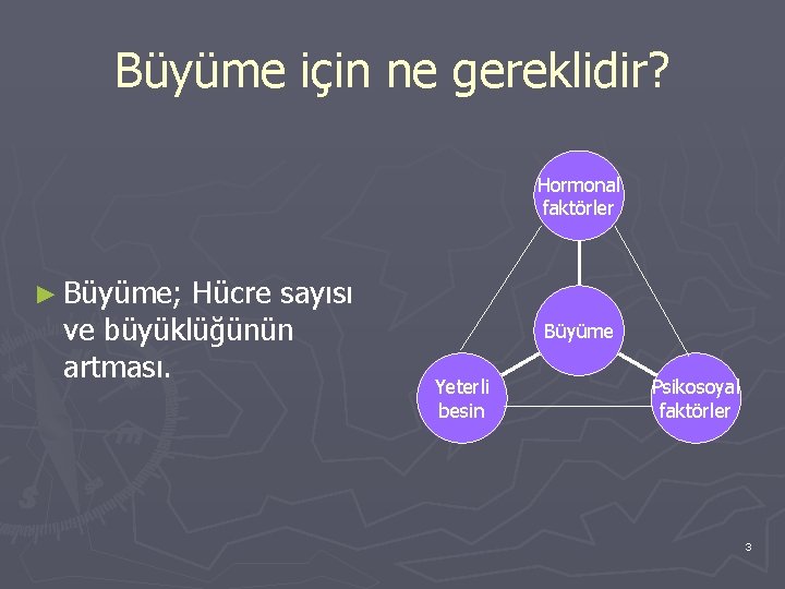 Büyüme için ne gereklidir? Hormonal faktörler ► Büyüme; Hücre sayısı ve büyüklüğünün artması. Büyüme