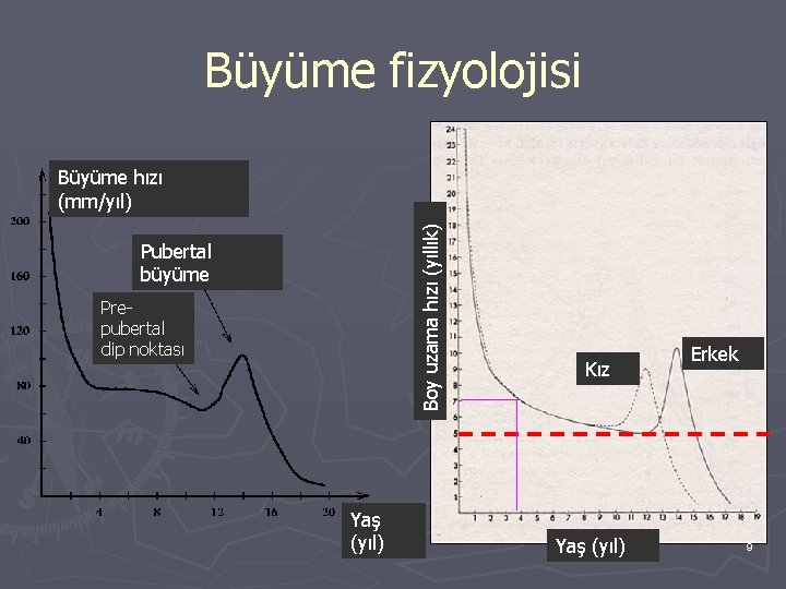 Büyüme fizyolojisi Boy uzama hızı (yıllık) Büyüme hızı (mm/yıl) Pubertal büyüme Prepubertal dip noktası