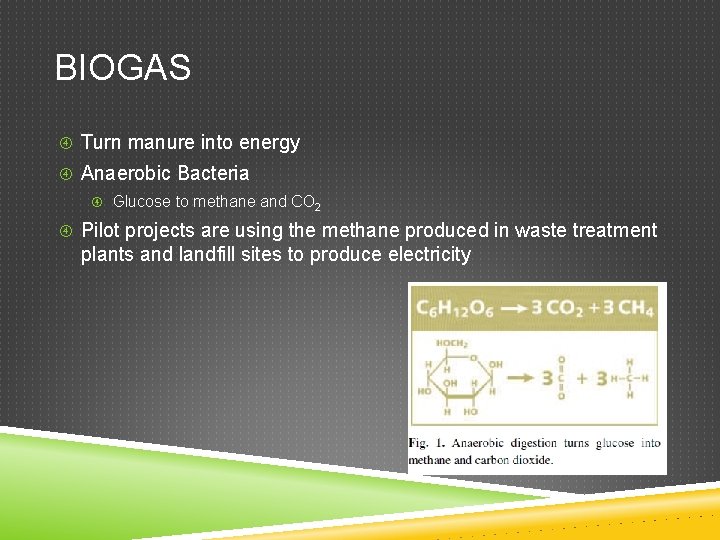 BIOGAS Turn manure into energy Anaerobic Bacteria Glucose to methane and CO 2 Pilot