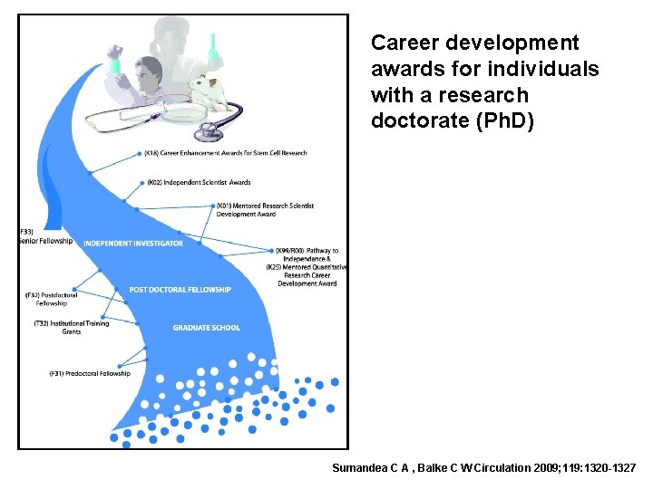 Career development awards for individuals with a research doctorate (Ph. D) Sumandea C A