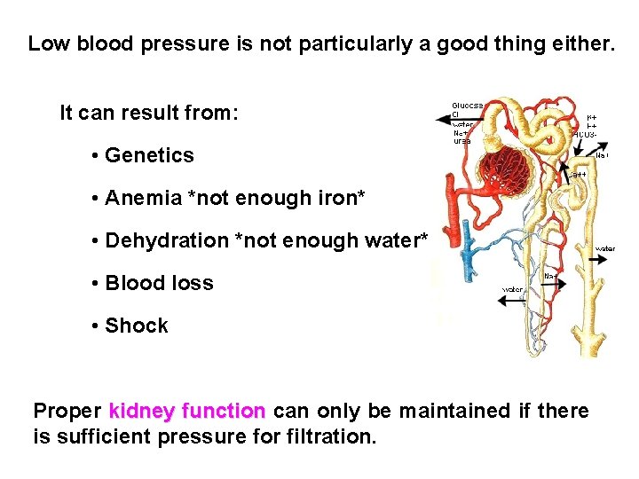 Low blood pressure is not particularly a good thing either. It can result from: