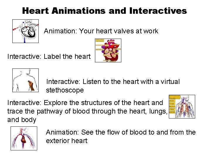 Heart Animations and Interactives Animation: Your heart valves at work Interactive: Label the heart