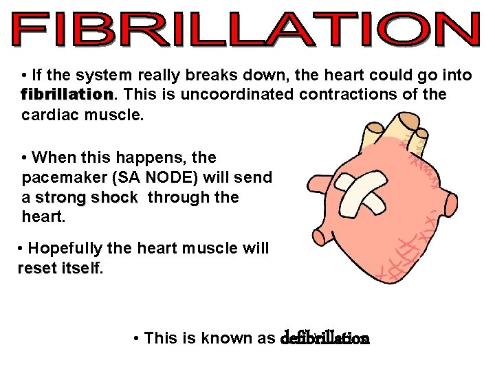  • If the system really breaks down, the heart could go into fibrillation