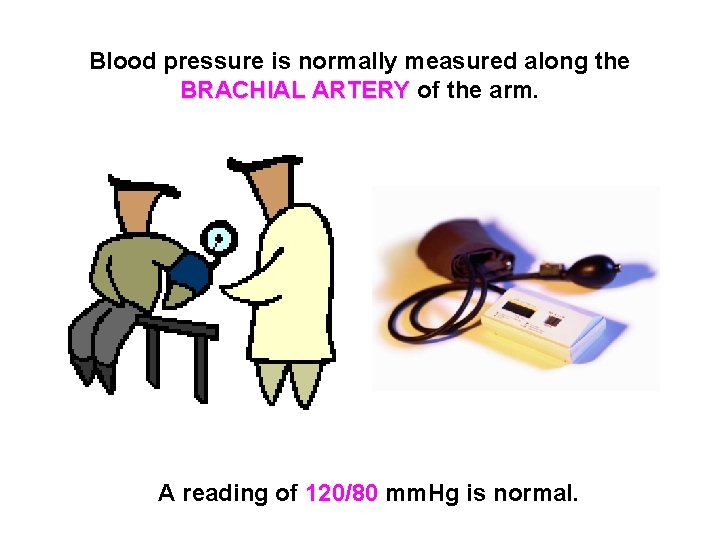 Blood pressure is normally measured along the BRACHIAL ARTERY of the arm. A reading