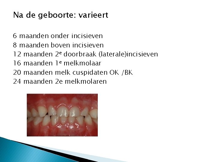 Na de geboorte: varieert 6 maanden onder incisieven 8 maanden boven incisieven 12 maanden