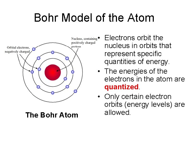 Bohr Model of the Atom The Bohr Atom • Electrons orbit the nucleus in