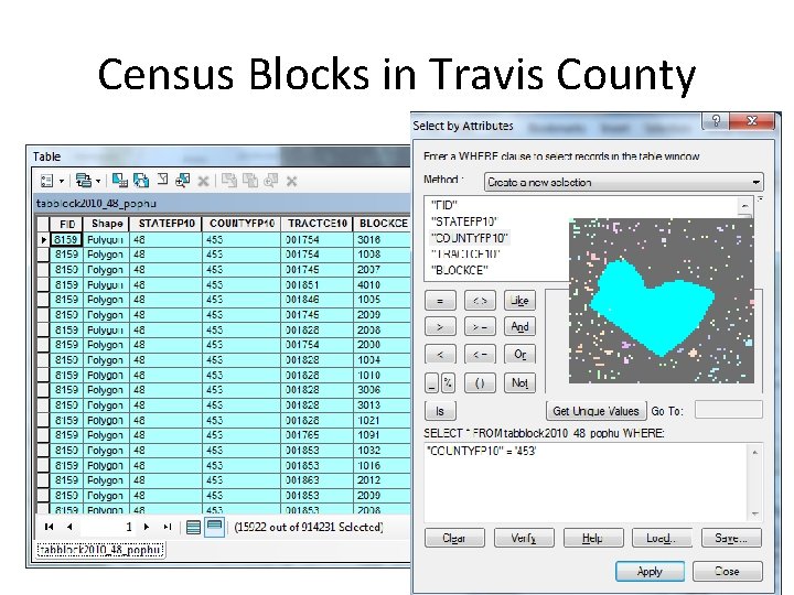 Census Blocks in Travis County 