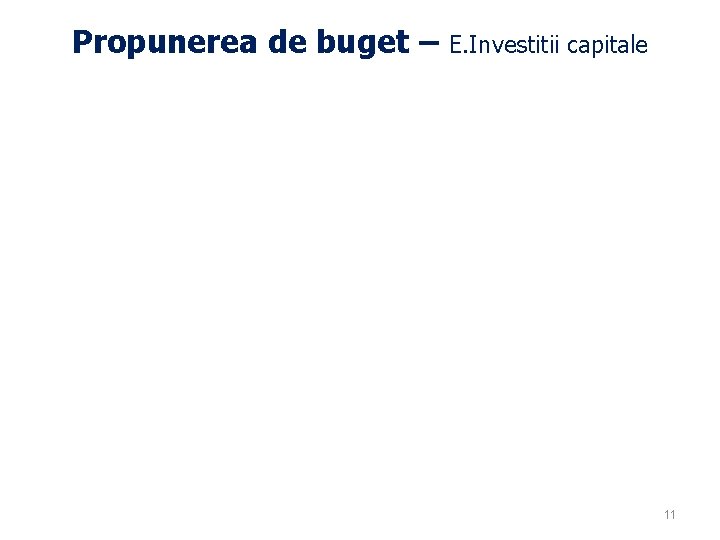 Propunerea de buget – E. Investitii capitale 11 