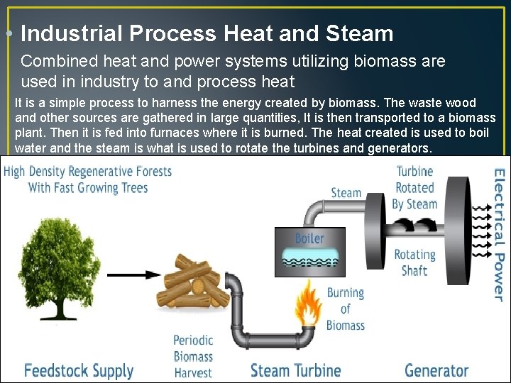  • Industrial Process Heat and Steam Combined heat and power systems utilizing biomass