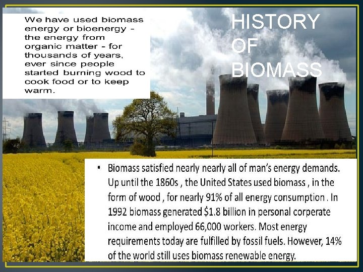 HISTORY OF BIOMASS History of Biomass HI 