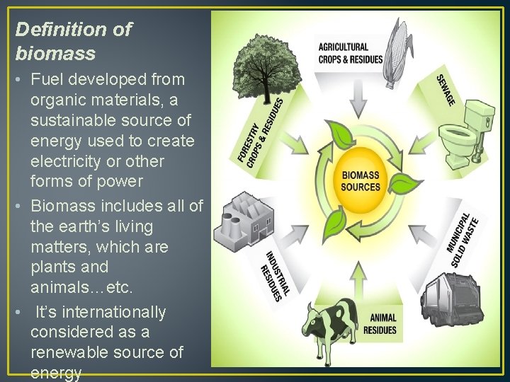 Definition of biomass • Fuel developed from organic materials, a sustainable source of energy