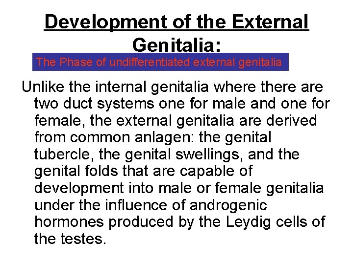 Development of the External Genitalia: The Phase of undifferentiated external genitalia Unlike the internal