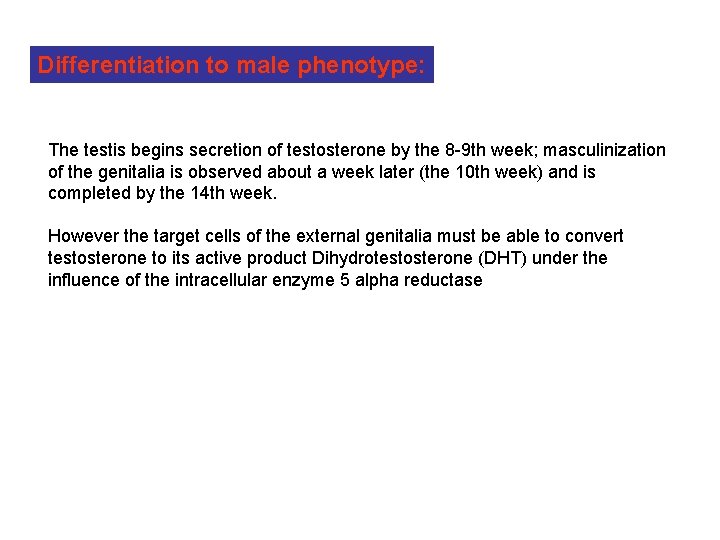 Differentiation to male phenotype: The testis begins secretion of testosterone by the 8 -9