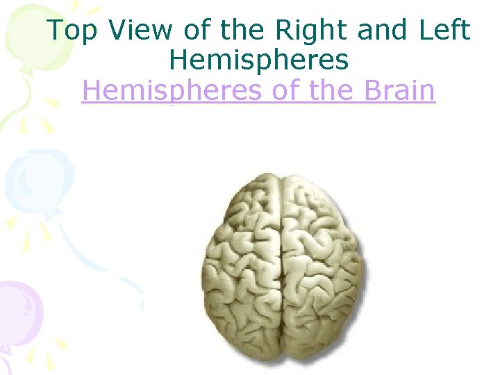 Top View of the Right and Left Hemispheres of the Brain 