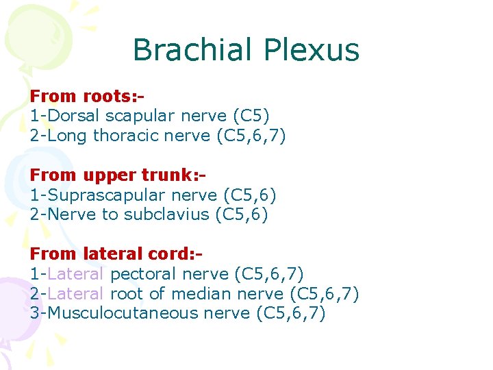 Brachial Plexus From roots: 1 -Dorsal scapular nerve (C 5) 2 -Long thoracic nerve